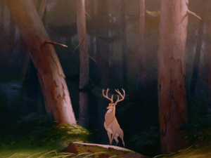 +5 to Stealth and Nature