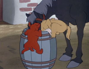 ESPECIALLY MY ANIMAL HOMIES