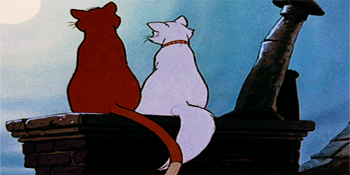 tumblr_mgngujwtyf1qeeuo4o1_r1_500