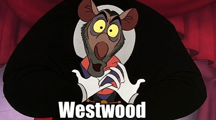 tumblr_lsdx9nb0we1qap6j5o1_500